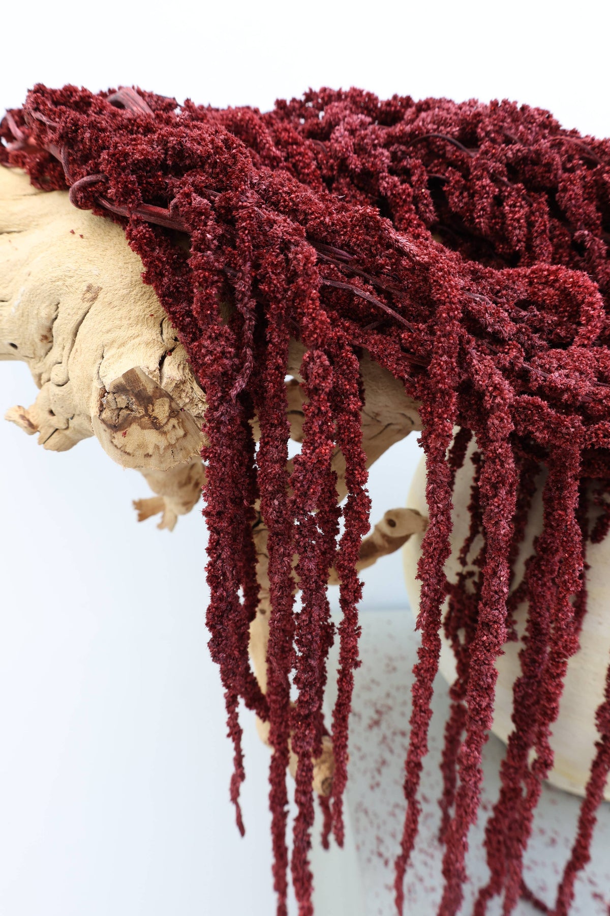 Preserved Deep Red Hanging Amaranthus