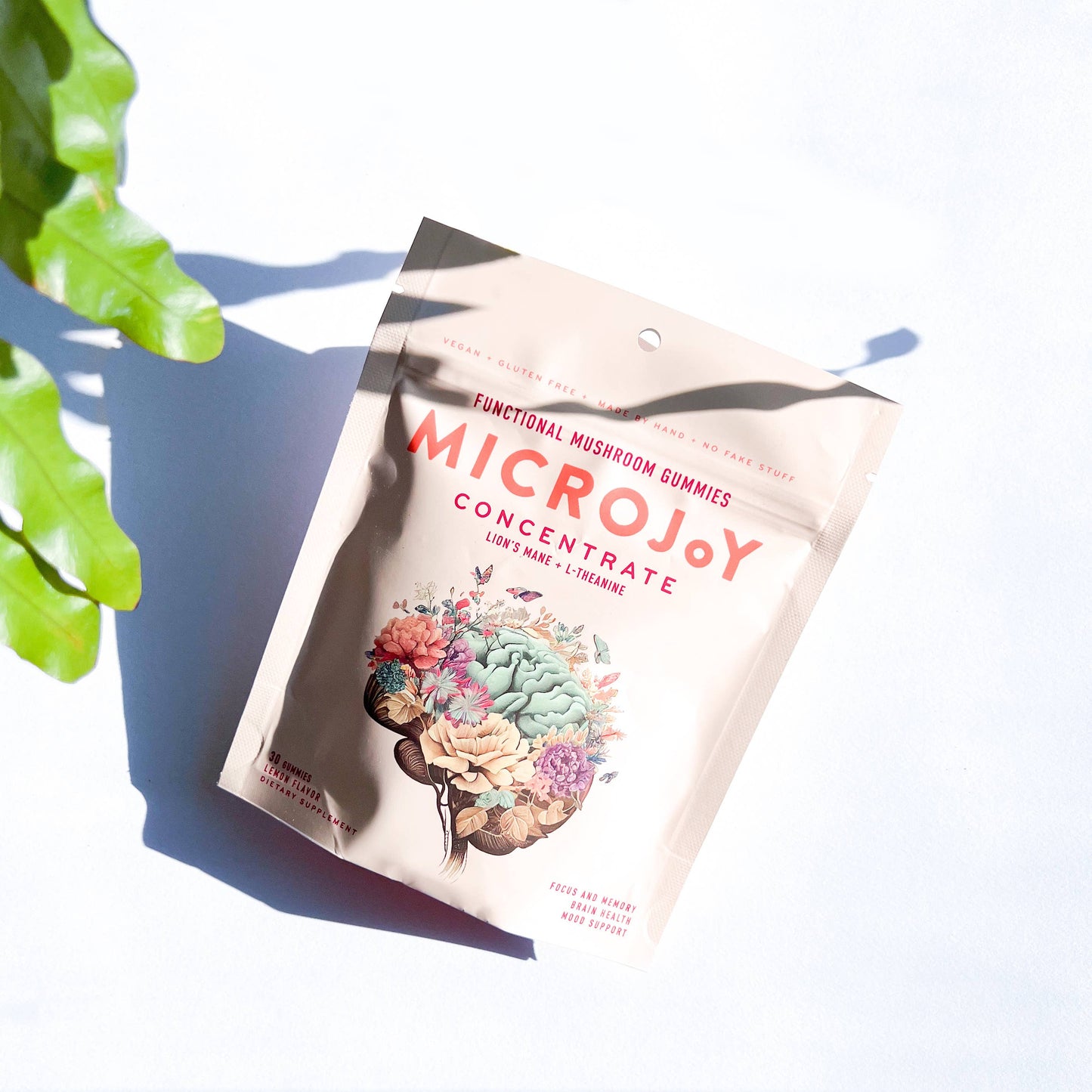 Concentrate Mushroom Gummies (30) / Vegan Supplement / Focus