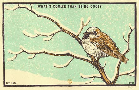 What's Cooler Print