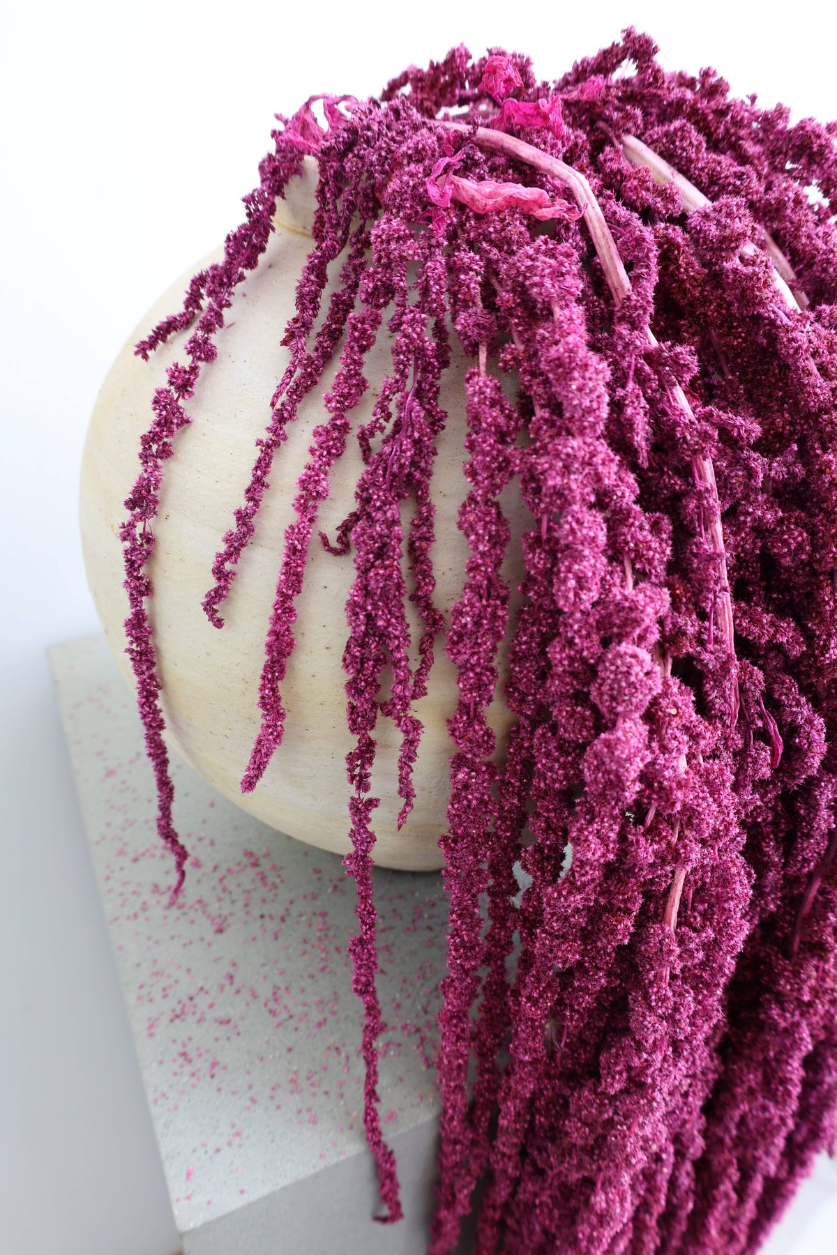 Preserved Amaranthus