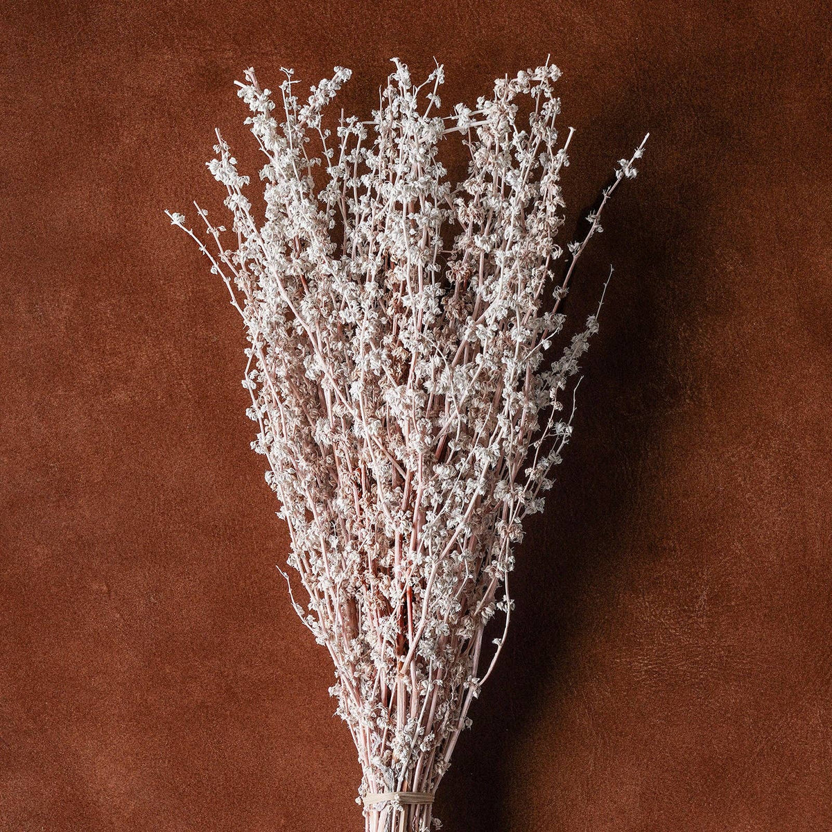 Dried flowers Blush,  20"