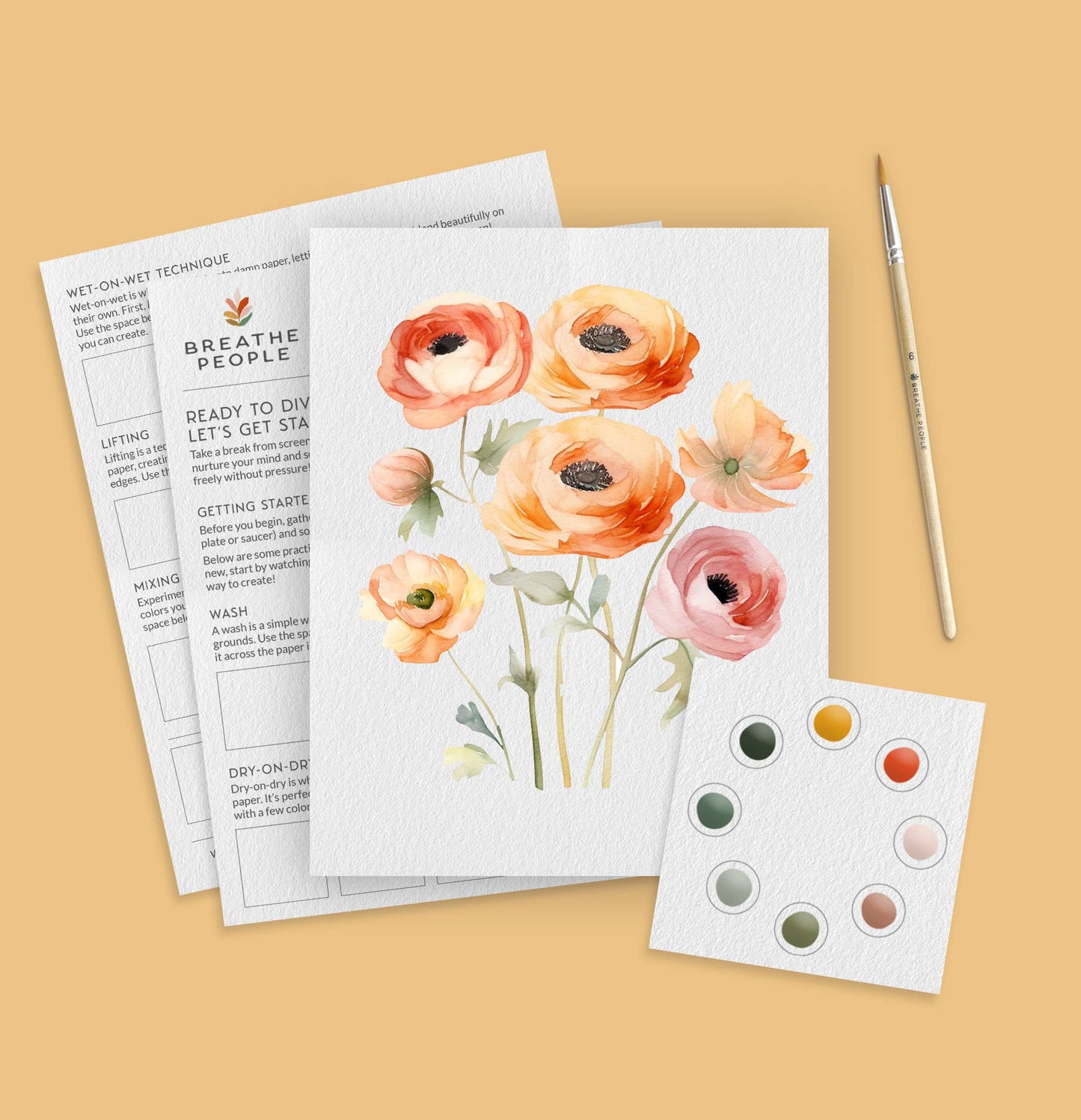 Ranunculus Blooms
