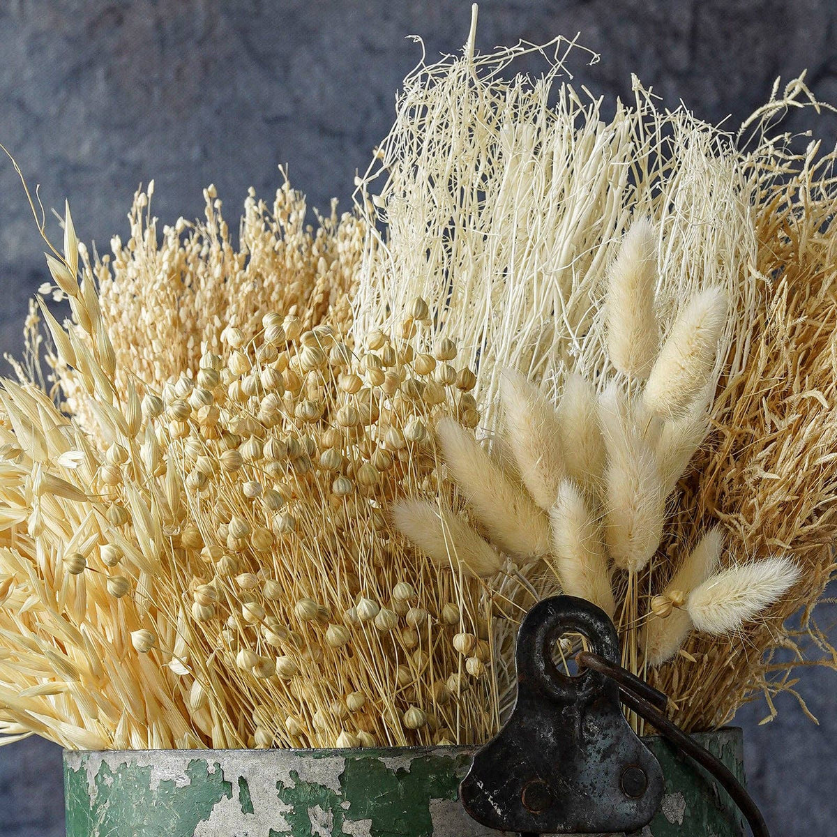 Dried flowers Bleached, 12"