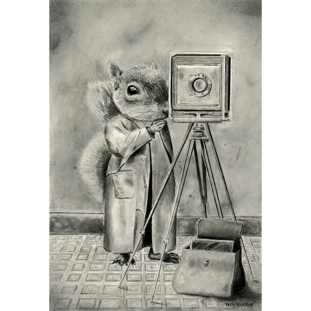 Print (signed): #50 - Squirrel - Vintage style pencil art 