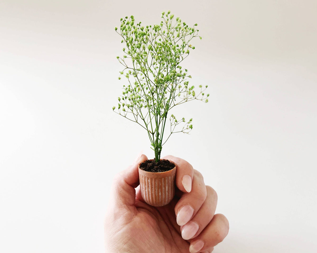 Miniature Potted Plant - Terra Cotta or Stone
