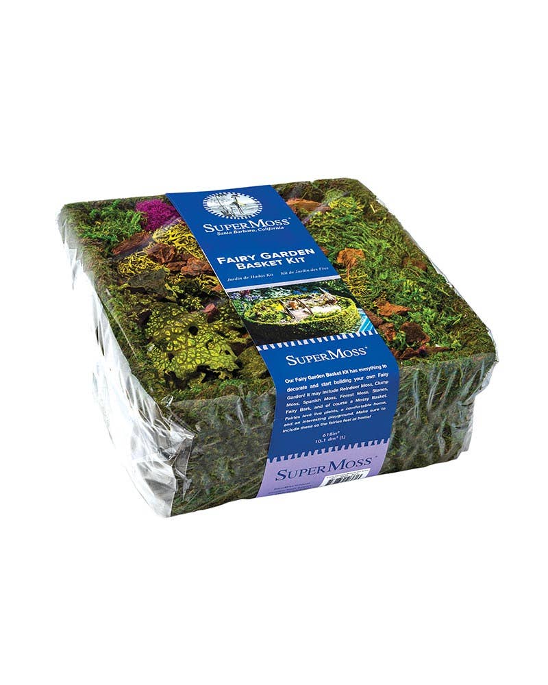 Fairy Garden Basket Kit, Fresh Green, 10in