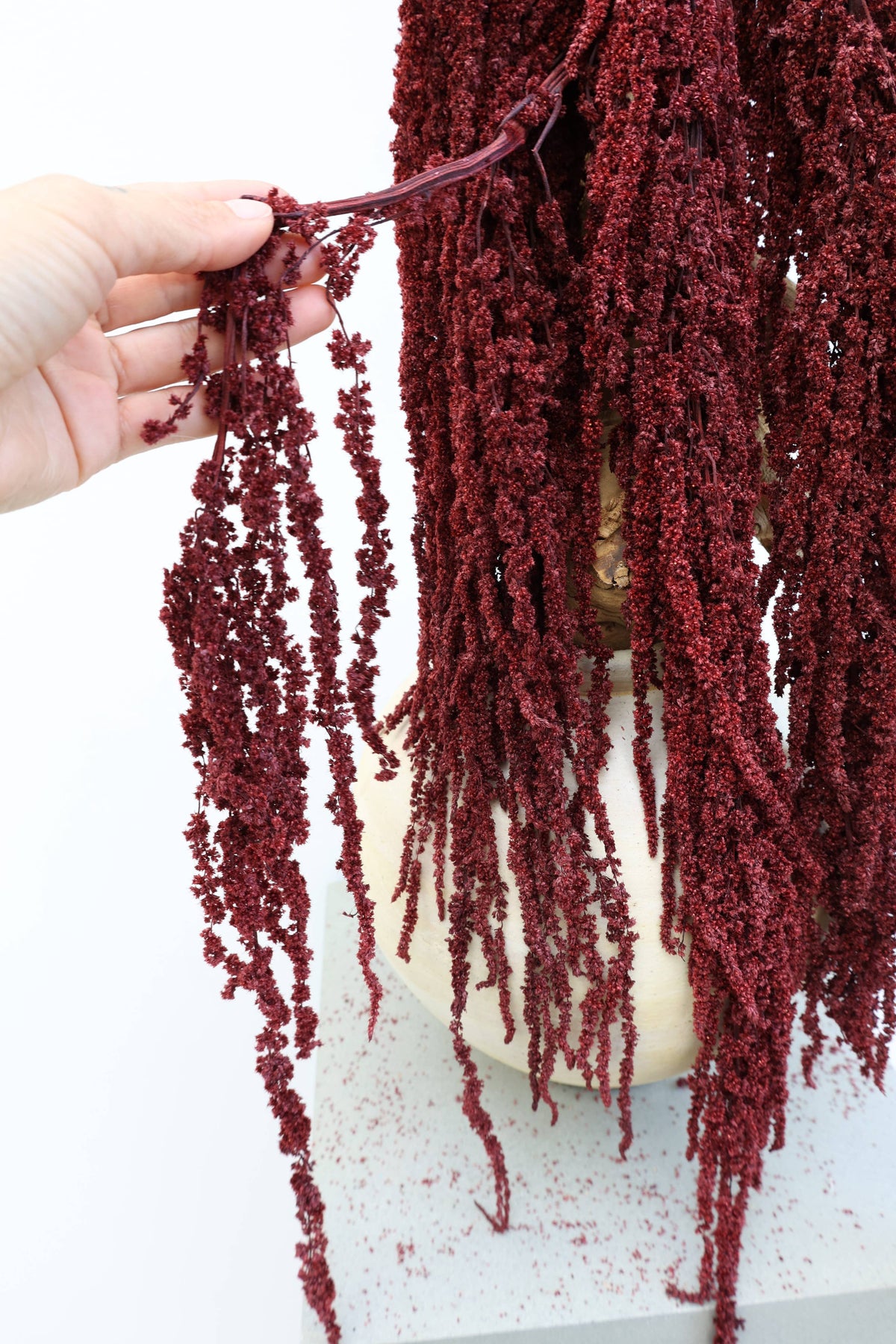 Preserved Deep Red Hanging Amaranthus