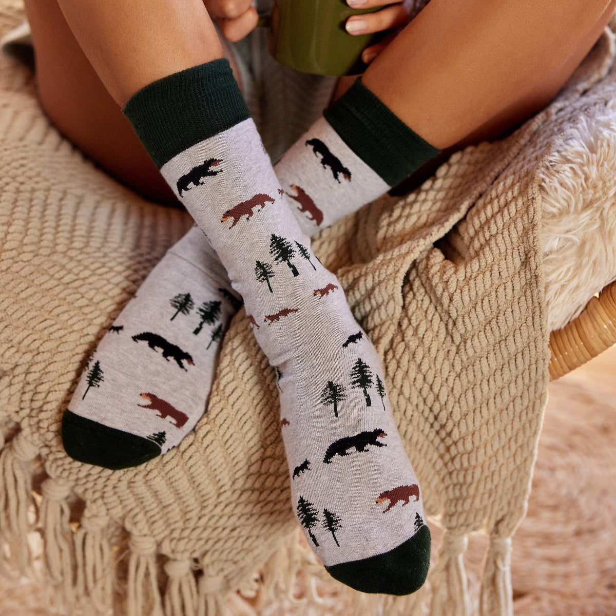 Boxed Set Socks that Protect National Parks