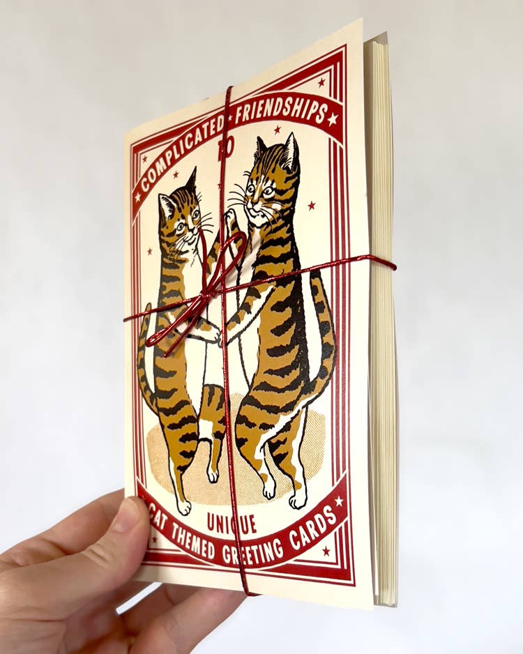Cat Complicated Friendship Greeting Card Set
