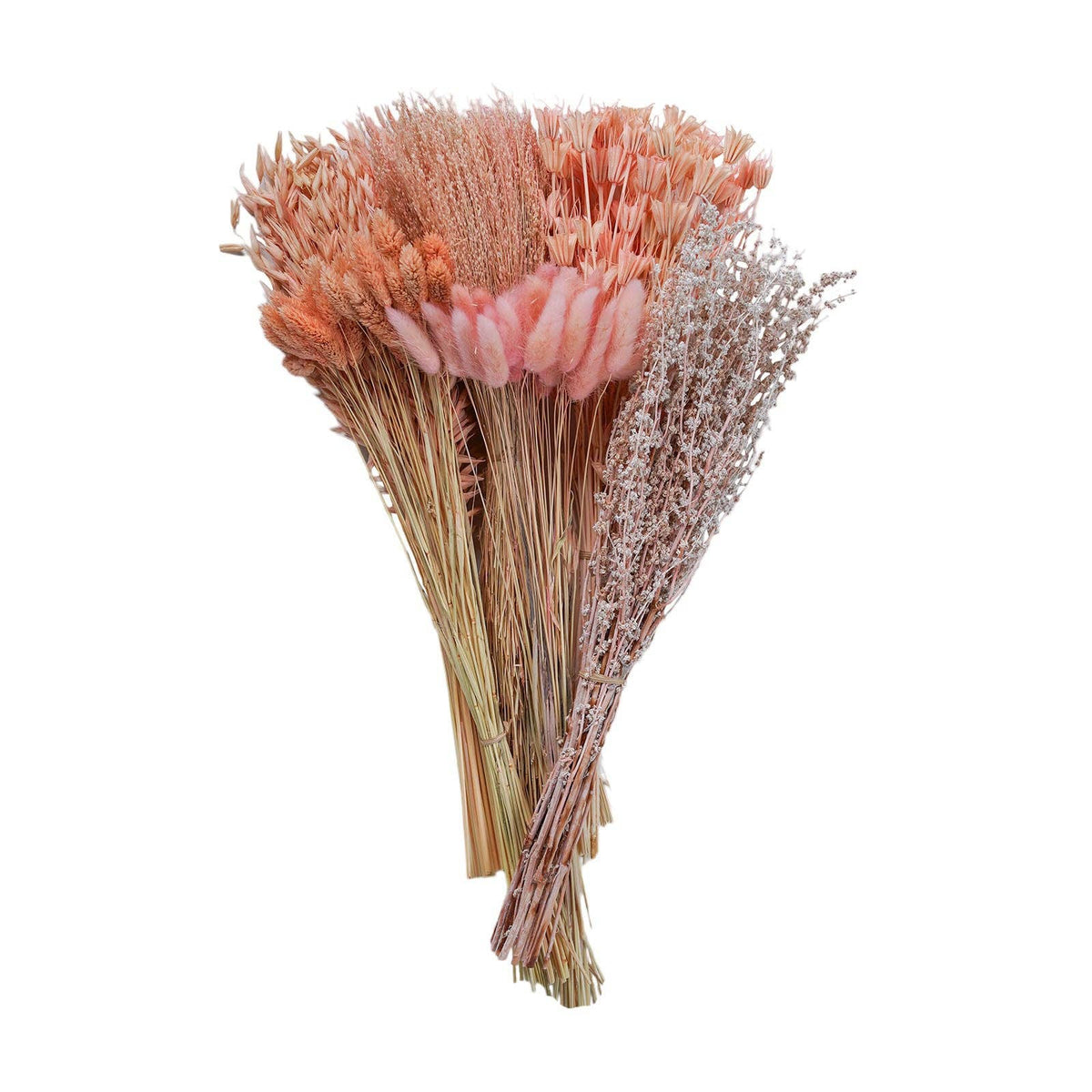 Dried flowers Blush,  20"
