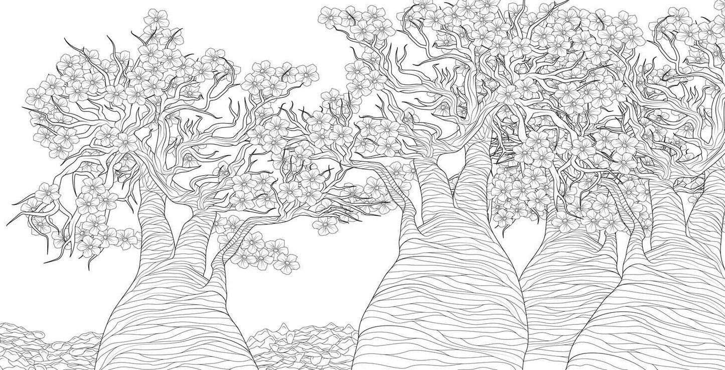 Splendor of Trees Coloring Book by