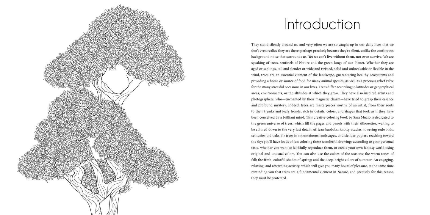 Splendor of Trees Coloring Book by