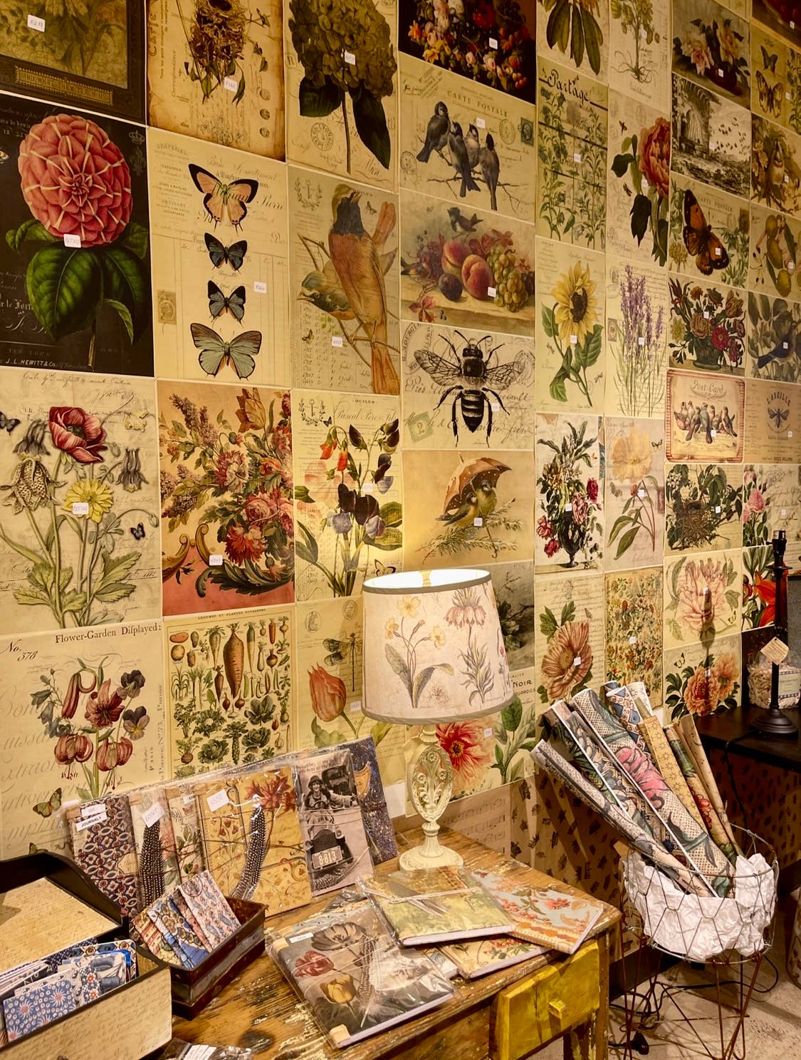 Assorted 11" x 17"   50 Piece Birds, Nests & Florals