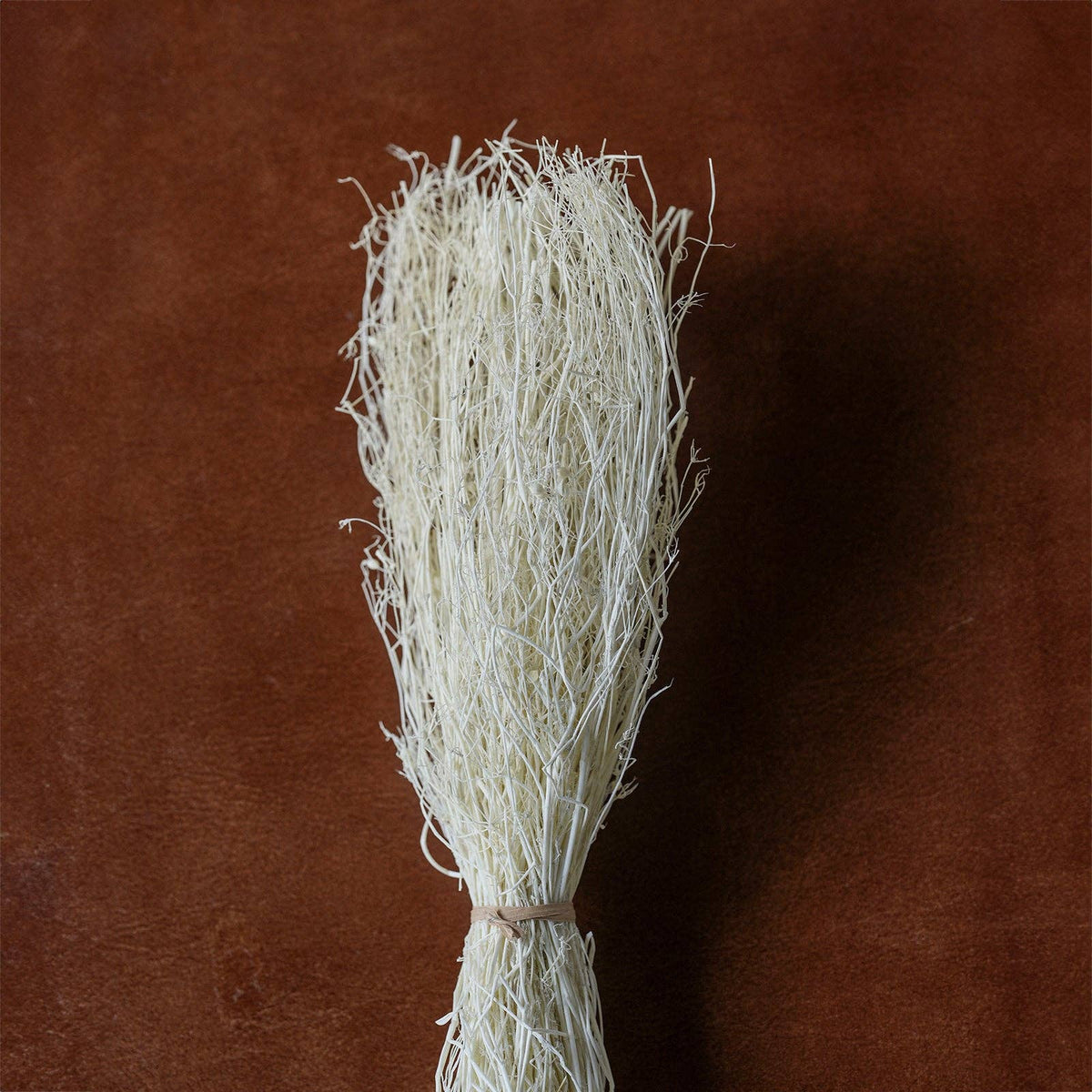 Dried flowers Bleached, 12"