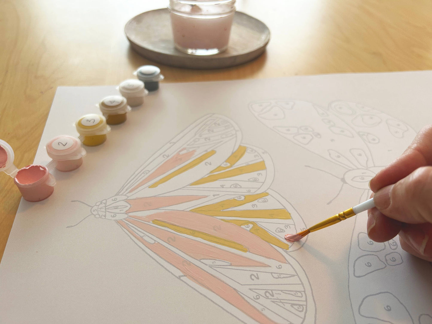 Minimalist Framed Paint-by-Number Kit- Butterflies