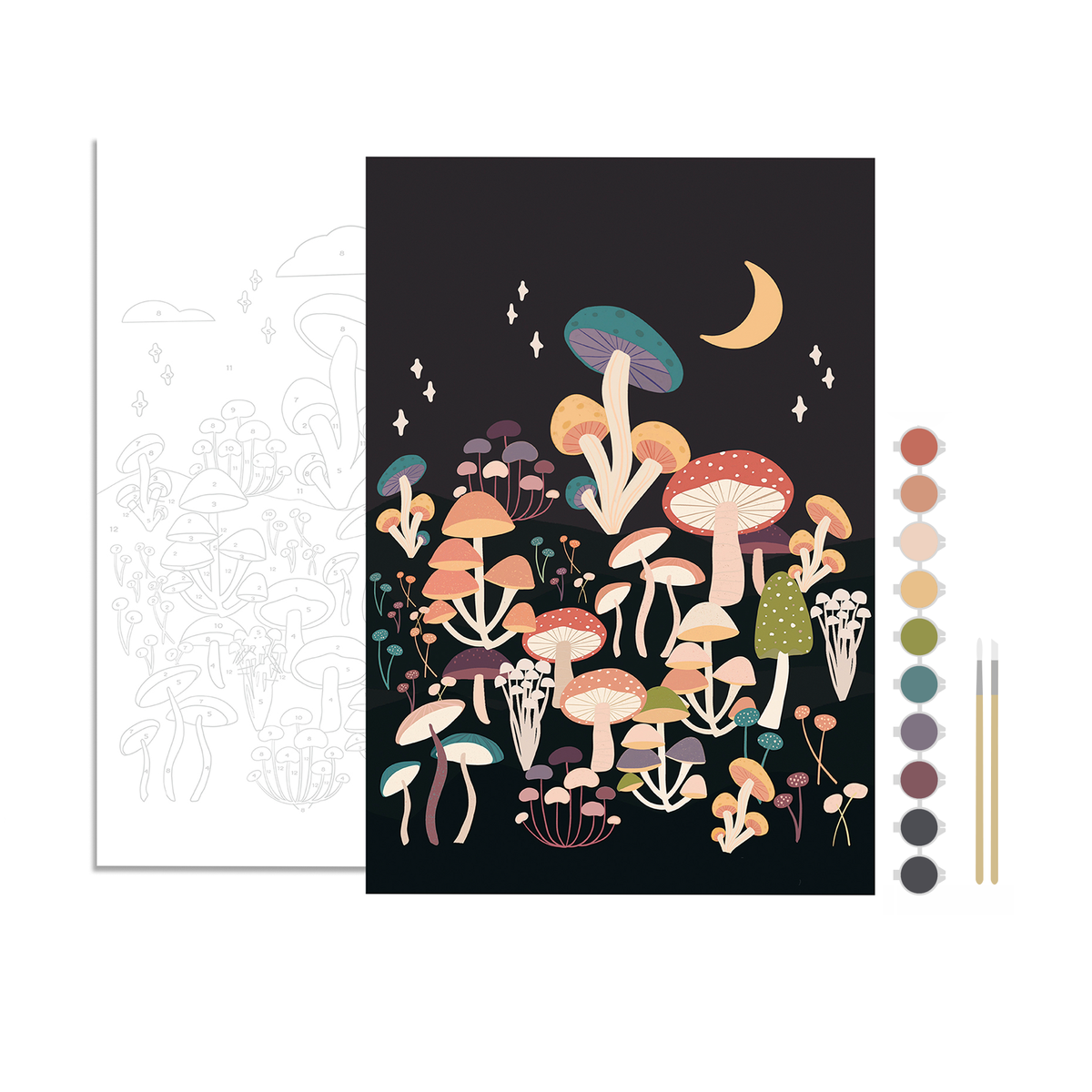 Night Mushrooms