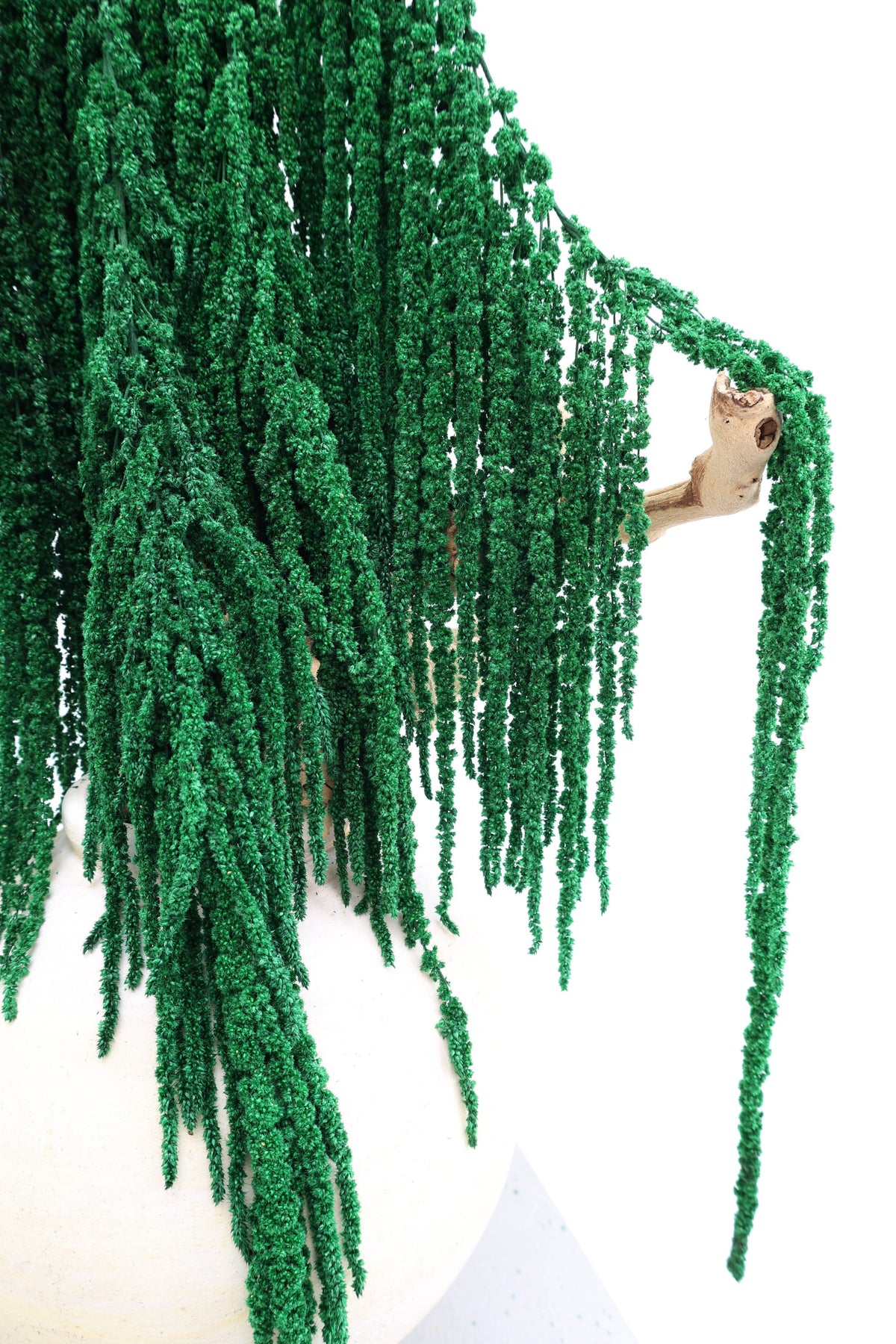 Forest Green Preserved Amaranthus