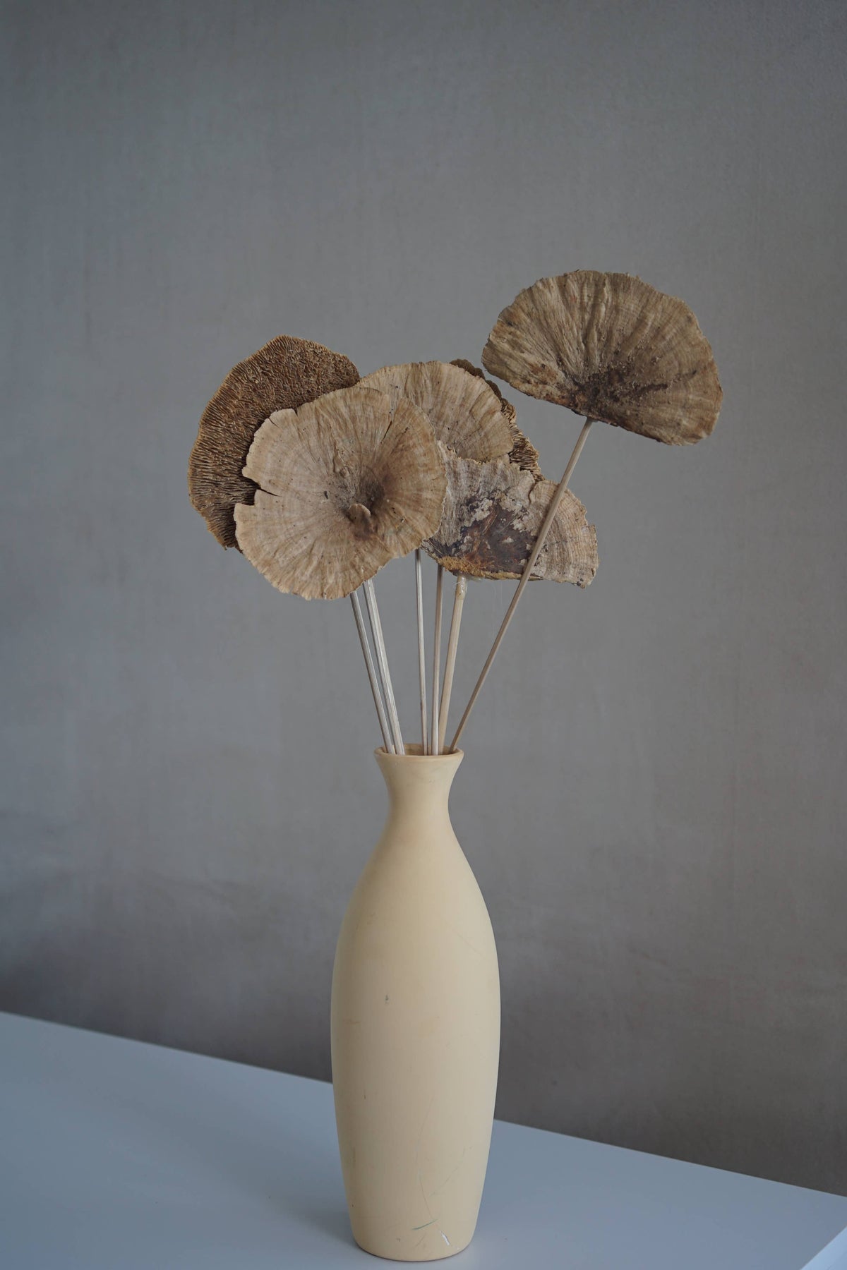 Dried Mushroom 