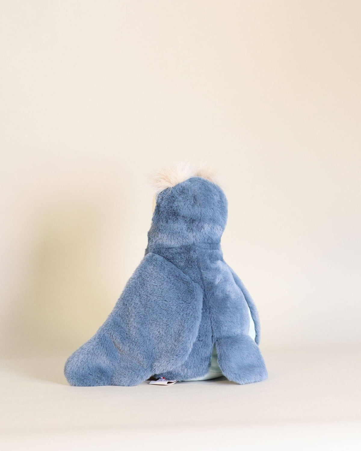 Ginette the Owl