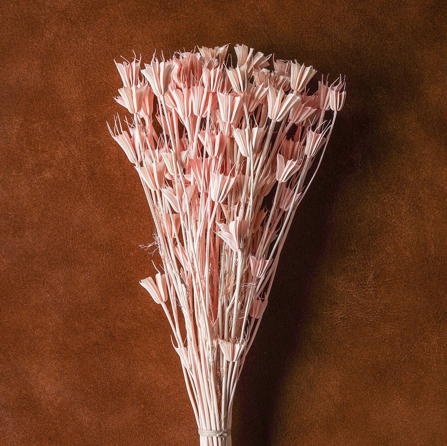 Dried flowers Blush,  20"