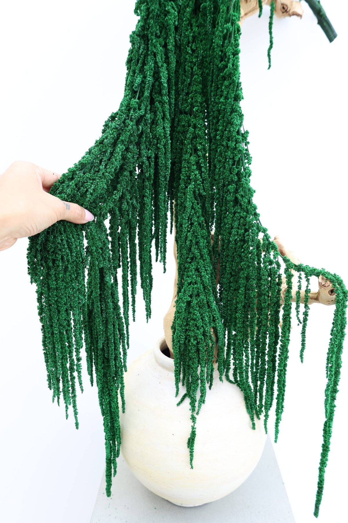 Forest Green Preserved Amaranthus