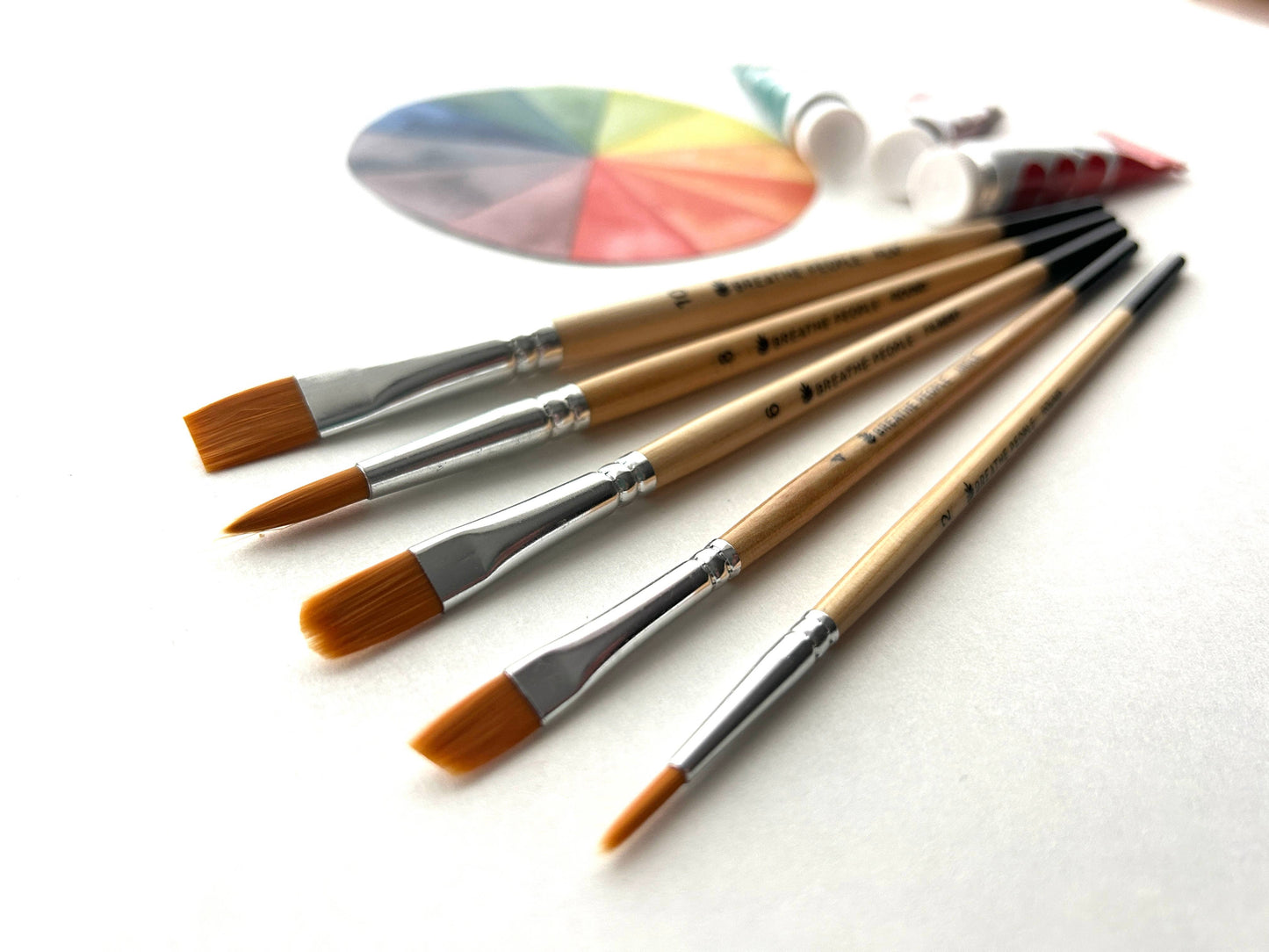 Paintbrush set