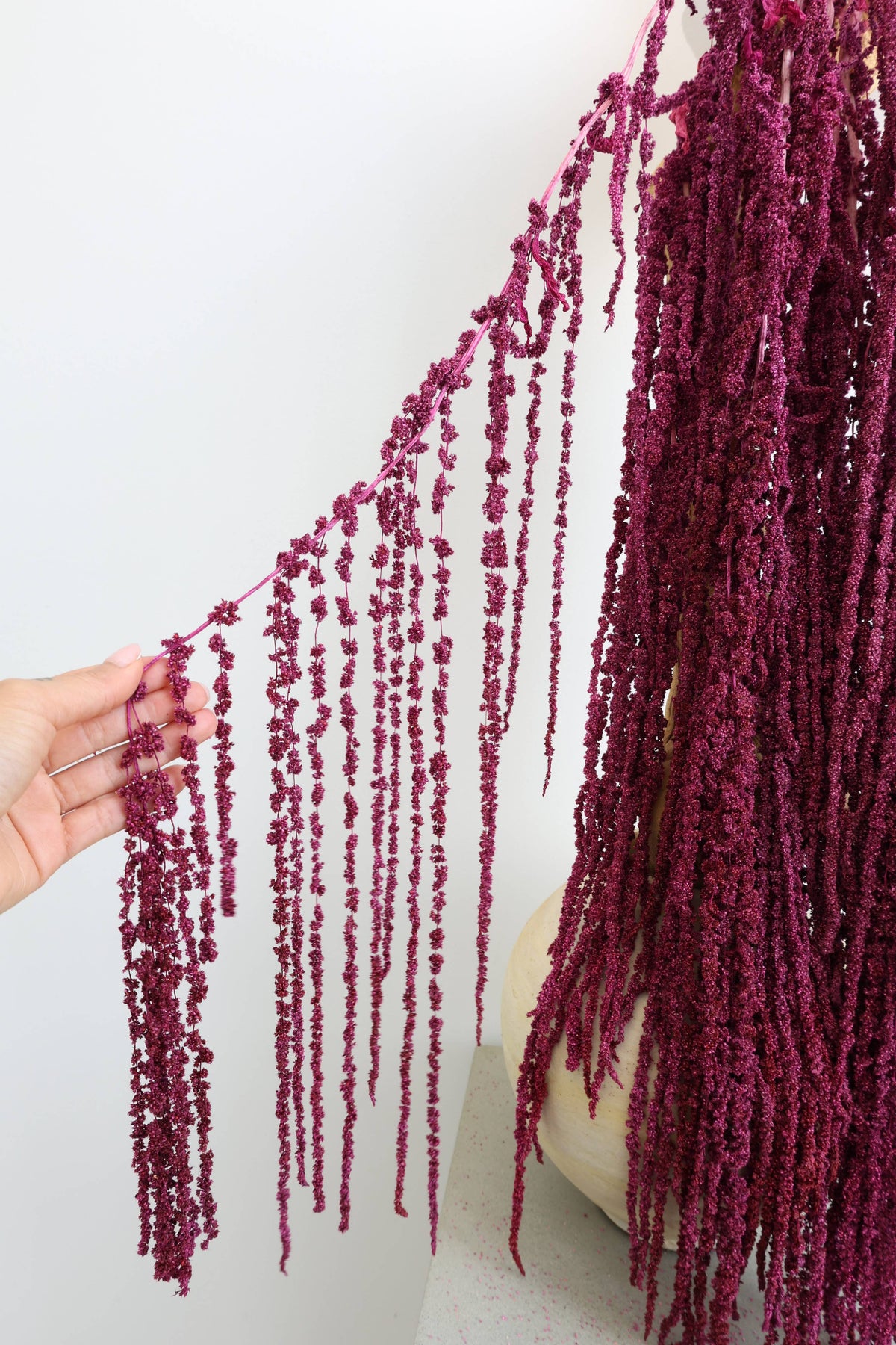 Preserved Amaranthus