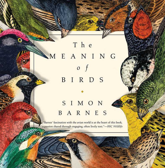 Meaning of Birds by Simon Barnes