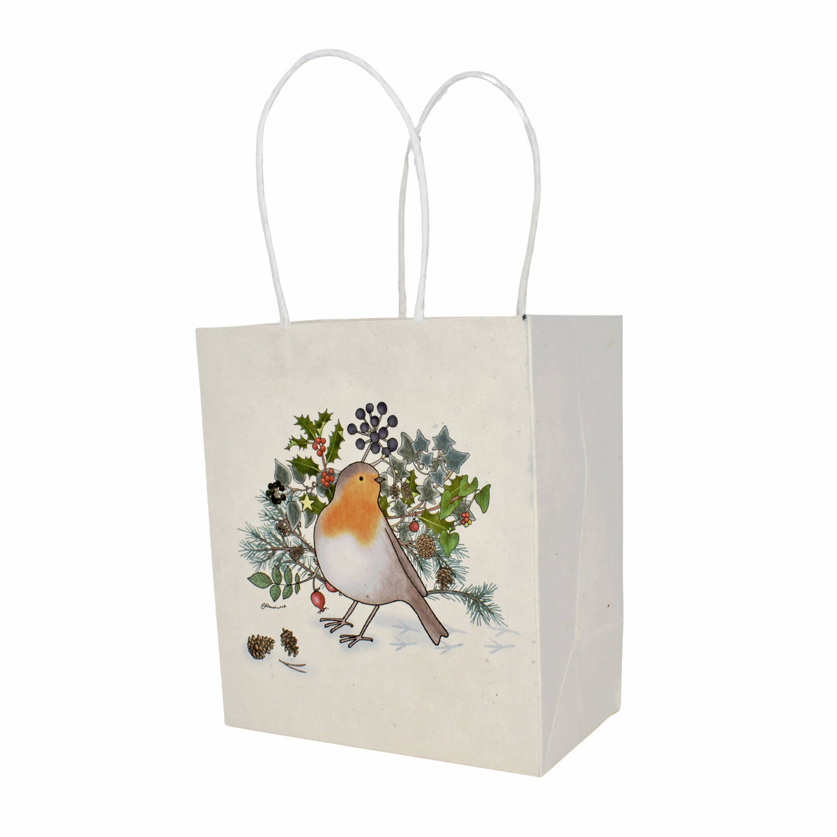 Emma Lawrence Christmas Robin Recycled Paper Gift Bags