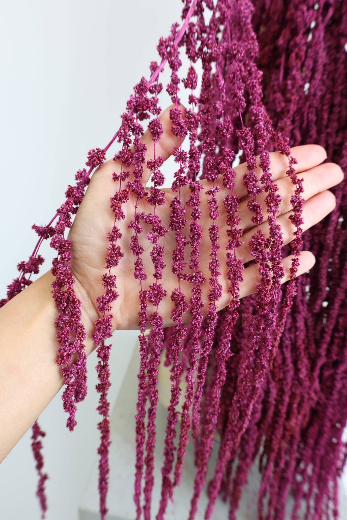 Preserved Amaranthus