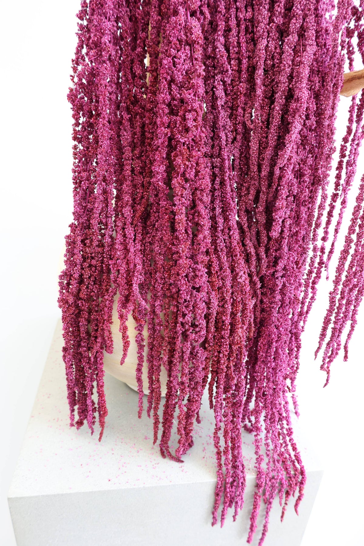 Preserved Amaranthus
