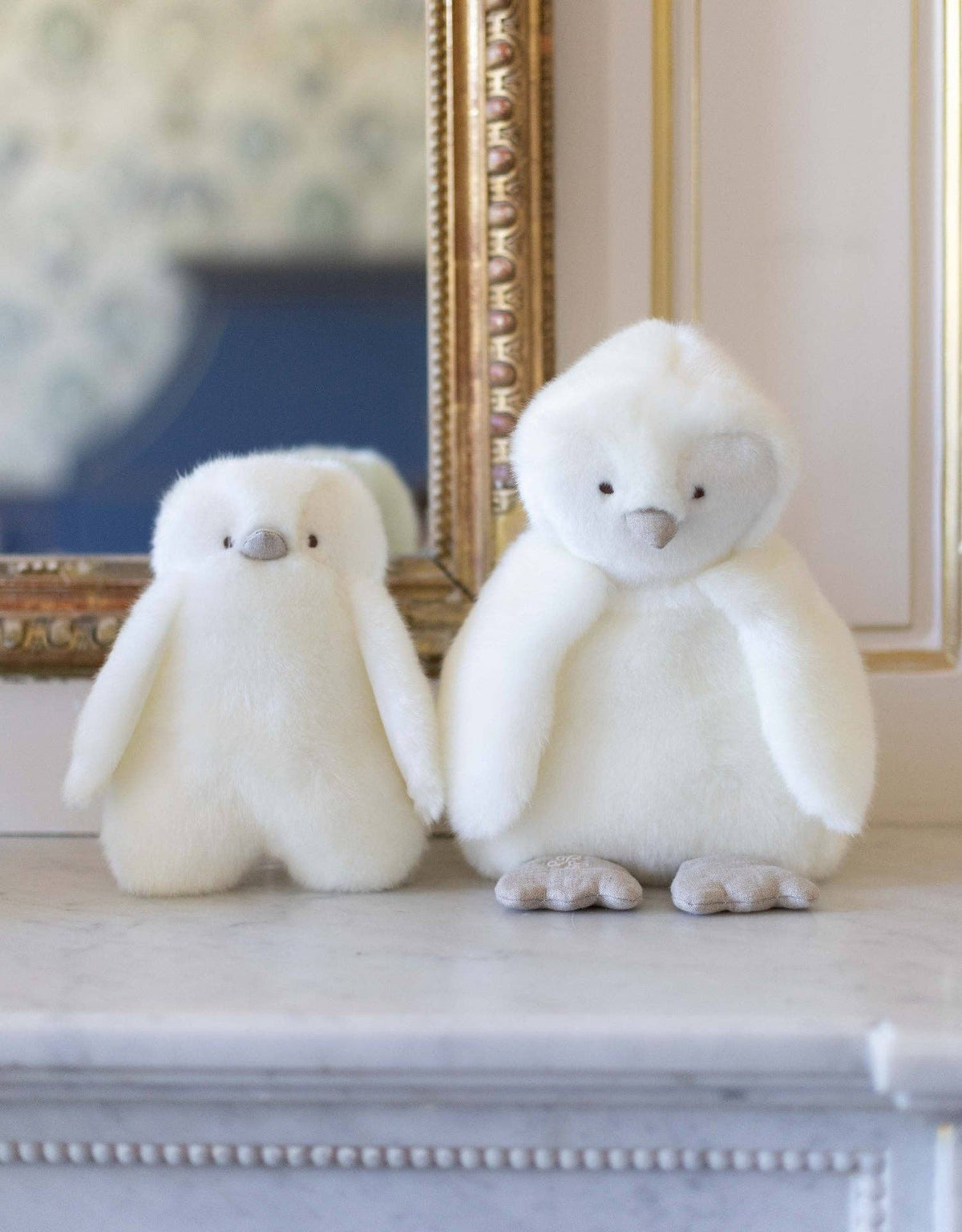 THE PENGUIN PAMPLEMOUSSE X TARTINE ET CHOCOLAT