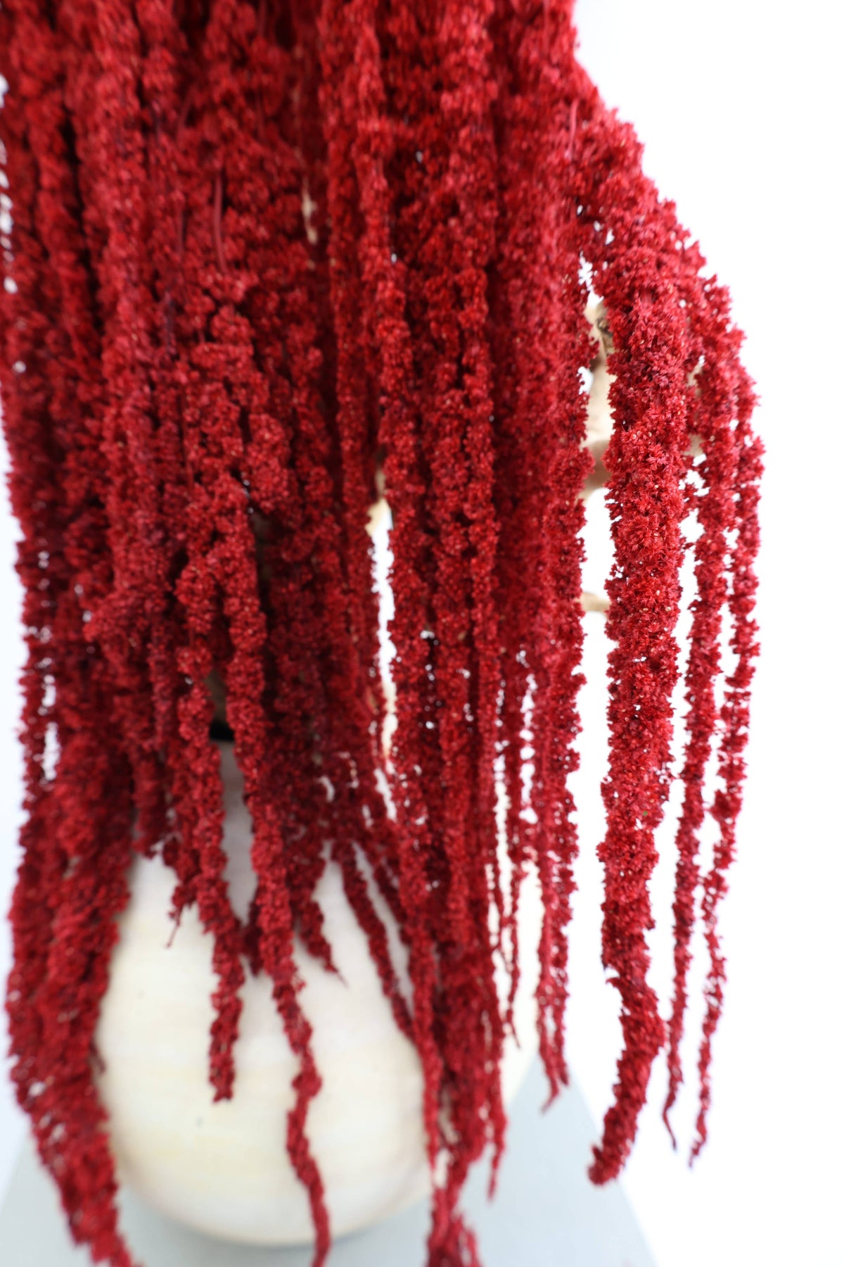 Red Amaranthus Hanging Preserved